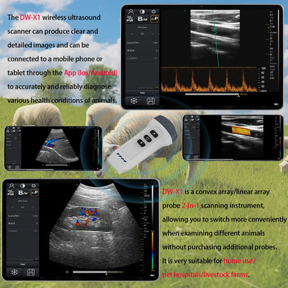 Wireless Color Doppler -Ultrasound Scanner 2in1 Convex & Linear Probe for animal or Human