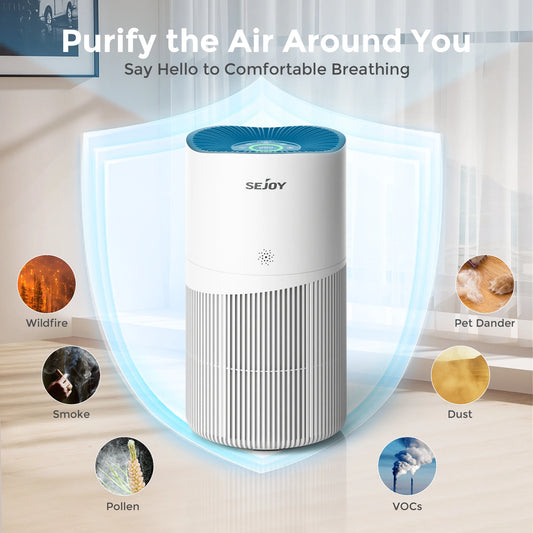Air Purifier for Large Rooms for Household HEPA Filter