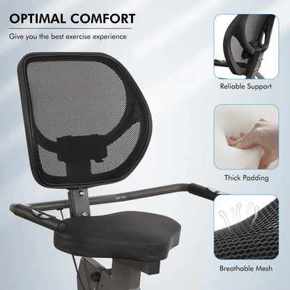 Recumbent Exercise Bike for Home Stationary Bike