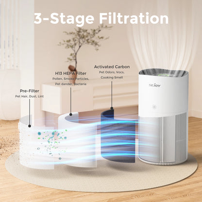 Air Purifier for Large Rooms for Household HEPA Filter