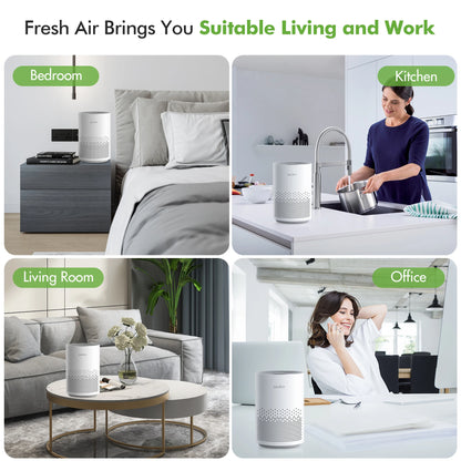 True HEPA Air Purifier Hepa Filter,4 Speeds, Timers Ionizer