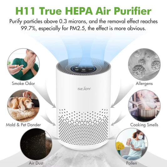True HEPA Air Purifier Hepa Filter,4 Speeds, Timers Ionizer