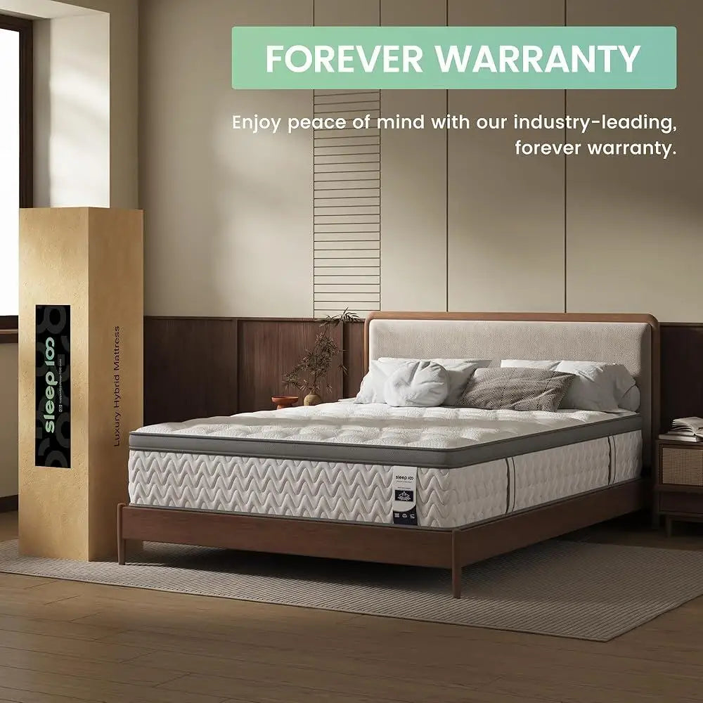Hybrid Firm 5-Zone Support Deep Sleep Mattress Extra Lumbar Shoulder Pain Relief