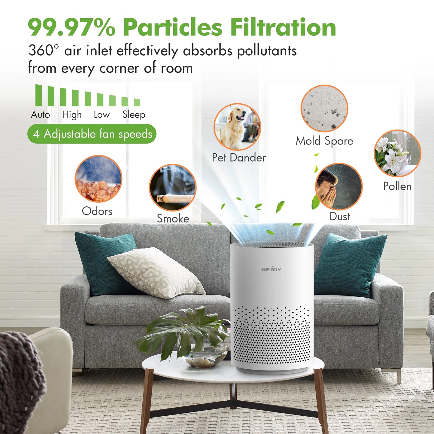 True HEPA Air Purifier Hepa Filter,4 Speeds, Timers Ionizer