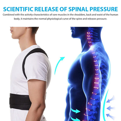 Back Brace Posture Corrector Belt and Lumbar Support, Adjustable Shoulder Posture Support for Improve Scoliosis