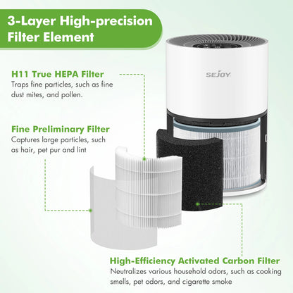 True HEPA Air Purifier Hepa Filter,4 Speeds, Timers Ionizer